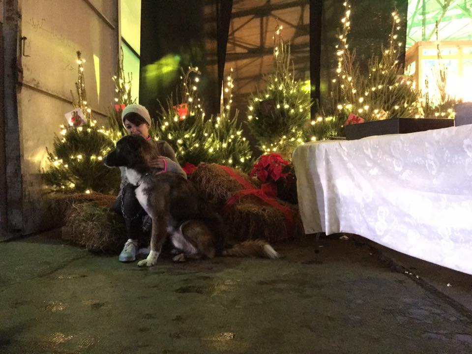 12295407_10153301689303494_5519258691416574178_n